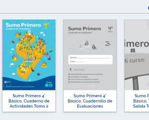 Captura de pantalla 2024-01-30 131608