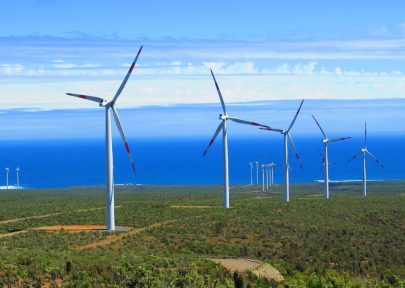 WhatsApp Image 2021-07-22 at 10.02.23